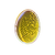 Root Globule Icon.png
