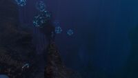 Some thermal vents in the Grand reef