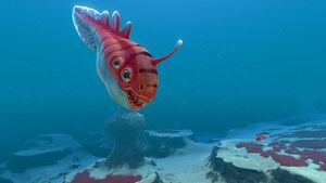Biter Fish (6).jpg