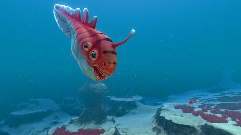 File:Biter Fish (6).jpg
