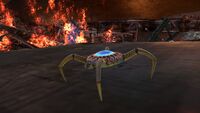 A Cave Crawler on the Aurora