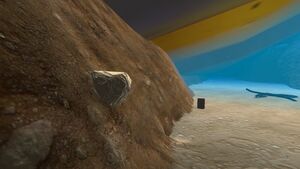 Crash Zone (22).jpg