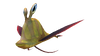 Garryfish Fauna.png