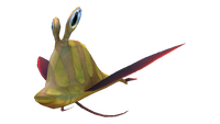 Garryfish Fauna.png