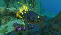 A Gasopod releasing its Gas Pods
