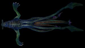 Sea Dragon (Black)-2.jpg
