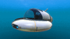 Seamoth 1.gif