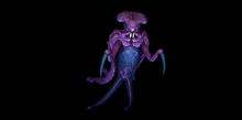 Sub warp.png