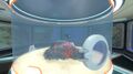 Hatch on a Large Aquarium