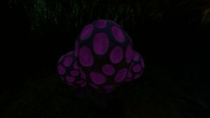 20160720013534 1.jpg