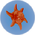 Cured Spinner Fish.png
