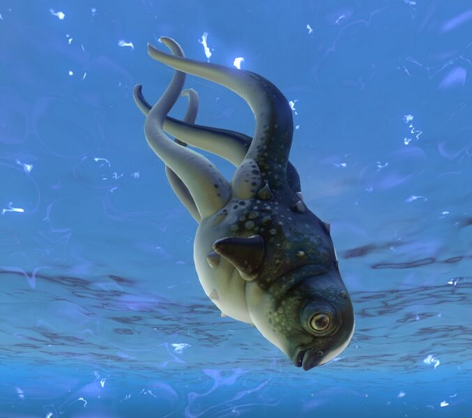 File:Cute Fish 1.jpg