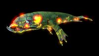Infected Lava Lizard (Black).jpg