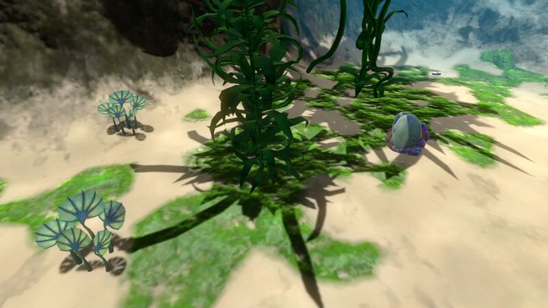 File:Kelp Forest (15).jpg