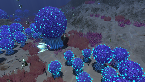 Mesmer Gallery 2.png