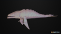 Shark Highpoly Fixed 02 Model from Sketchfab