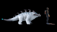 Size comparison