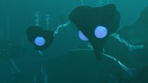 Some unique place in Subnautica, an Underwater Island biome, corrupted by the Blood kelp !