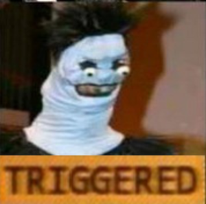 C13.png