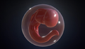 An early picture of a Crashfish egg, seen on Sketchfab.