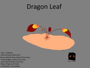 Dragon Leaf Concept.jpg