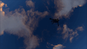 Dragonfall.gif