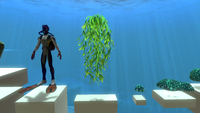 Hanging Seaweed found in the Entity Gallery