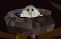 Thumbnail for version as of 17:33, 28 September 2022
