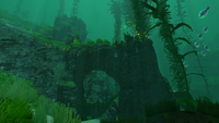 A rock arch-like structure in the Kelp Forest