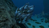 Large Diamond deposit which has been removed from the game.