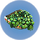 Plant Shelf.png