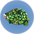Plant Shelf.png