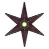 Starfish Single.png