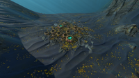 Trinity Barnacles