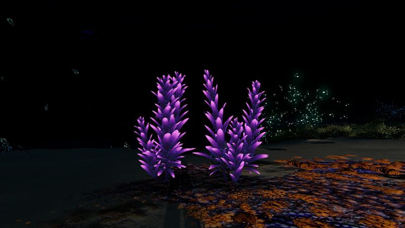 File:VioletBeauregardeNight (BZ).jpg