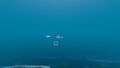 The ring-shaped signal belongs to a Beacon. The other is shaped like the Cyclops, Seamoth and Escape Pod.