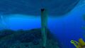 Thumbnail for version as of 16:57, 6 August 2021