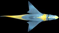 Dorsal view