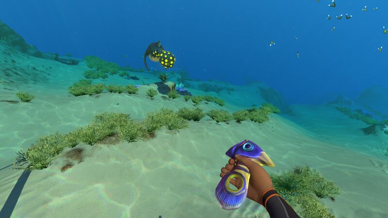 File:HoldingHolefish2.jpg