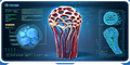 Thumbnail for version as of 22:08, 6 August 2021