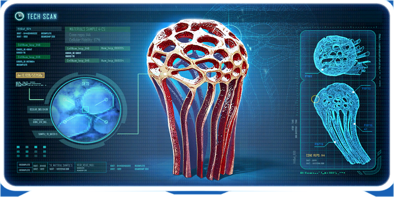 File:Honeycomb Plant Ency.png