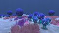 A variety of blue to purple plants grow in the Koosh Zone