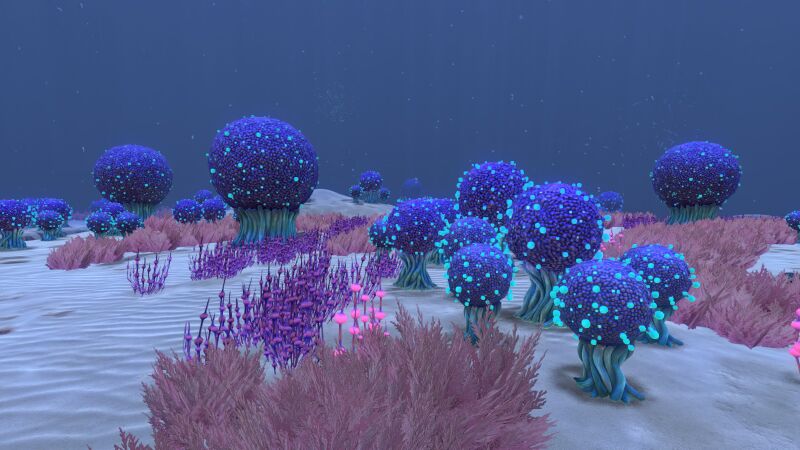 File:Kooshzone3.jpg