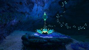 Oxygen Plant TB Caves.jpg