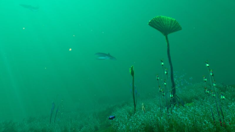 File:Seafloor.jpg