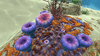 Acid Mushroom (5).gif