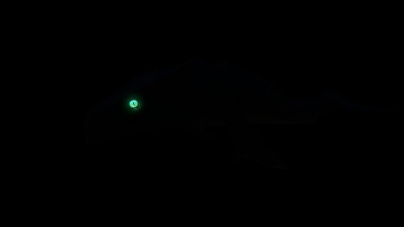 File:Boneshark11.jpg