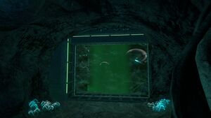 GhostForestCache7.jpg