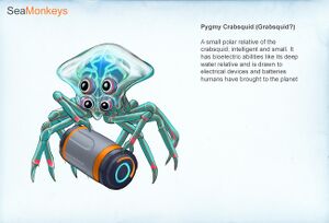 Grabsquid (BZ).jpg
