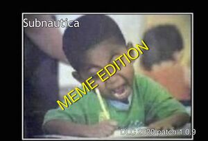Imagerehr.jpg